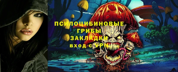 меф Алексин